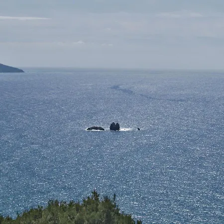 Escape Luxury Loft - Beach, Corfu